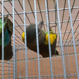 Profile Picture of 枚趙 (@&) on Facebook