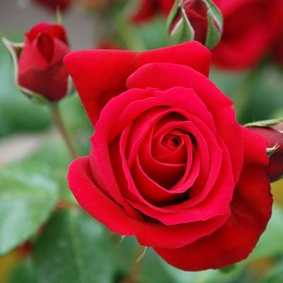 Profile Picture of Dr.Neeta Desai (@DrNeetaDesai1) on Twitter