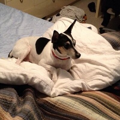 Profile Picture of David Fankhauser (@dfankhauser) on Twitter