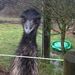 Profile Picture of Steve Boley (@boley0119) on Pinterest