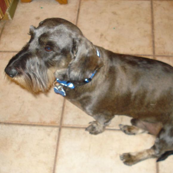 Profile Picture of Cindy Christopher-provasek (@cprovasek) on Poshmark