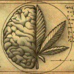 Chris Frees Rivera - Instagram Profile Picture of Chris Frees Rivera (@chrisfrisk8) on Instagram