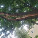 Profile Picture of Stephen Braasch (@stephen.braasch.5) on Facebook