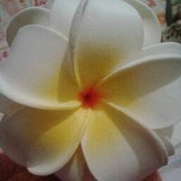 Profile Picture of Tia Joseph (@tia-joseph-2) on Quora