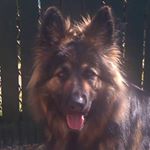 Profile Picture of Roberta Mooney (@roberta.mooney) on Instagram