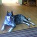 Profile Picture of Patricia ByBee (@patricia.bybee.5) on Facebook