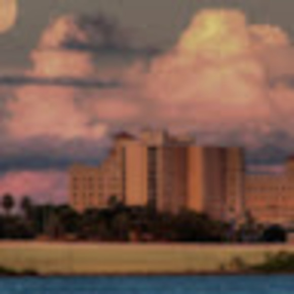 Profile Picture of Renise Johnson (@renise_johnson) on Poshmark