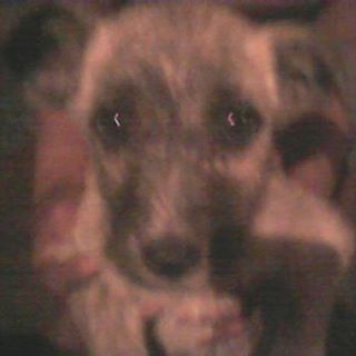 Profile Picture of Aurelio Mendez Librado (@aurelio.mendezlibrado.1) on Facebook