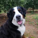 Profile Picture of Martin Brunner (@Martin-Brunner) on Facebook