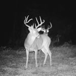 Profile Picture of Carson Corley (@carson_3690) on Instagram