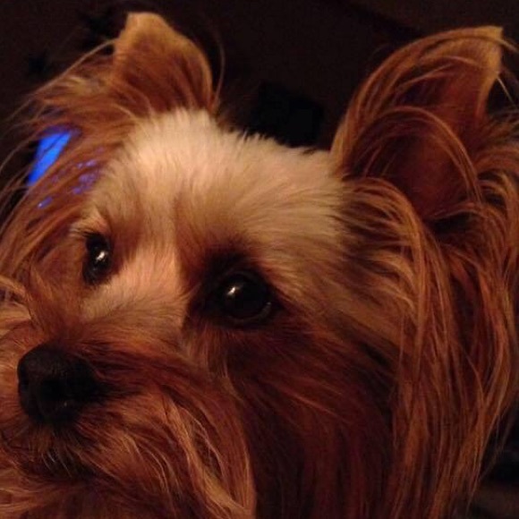 Profile Picture of Jean Bailey (@pedie2008) on Poshmark