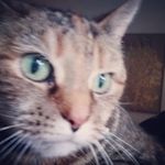 Profile Picture of David Fretwell (@david_fret_01) on Instagram