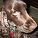 Profile Picture of Bobbi Leder (@euri's mom) on Flickr