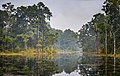 Profile Picture of Chitwan National Park - Wikipediaon Wikipedia