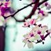 Profile Picture of Ivan Wilson (@ivanwilson0562) on Pinterest