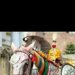Profile Picture of Syed Qasim Jaffry (@syedqasimjaffry) on Instagram