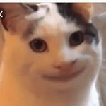 Profile Picture of Quinton Edwards (@quintonedwards9) on Instagram