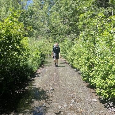 Profile Picture of Alexander Johnson (@anicelyjohnson) on Twitter