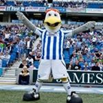 Peter Banfield - Instagram Profile Picture of Peter Banfield (@peter.banfield1) on Instagram