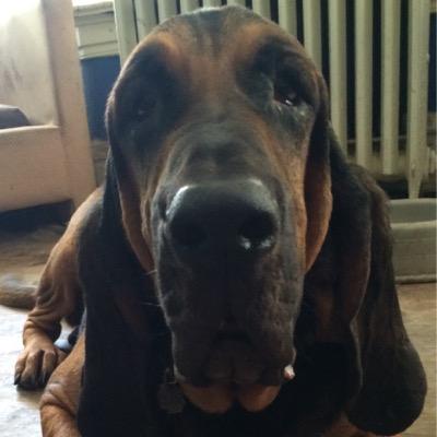 Profile Picture of Mark Ankenbrand (@CoachAnk) on Twitter