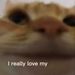 Profile Picture of Nathaniel Guillory (@nathanypack) on Pinterest