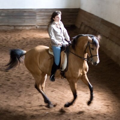 Profile Picture of Luísa Lima (@__luisalima__) on Twitter