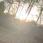Profile Picture of Mulrennan Love (@mulrennanlove) on Instagram