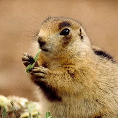 Profile Picture of Sandra Fredricks (@sandster18) on Twitter