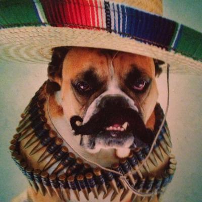 Profile Picture of Christopher Chesney (@peteysunny) on Twitter
