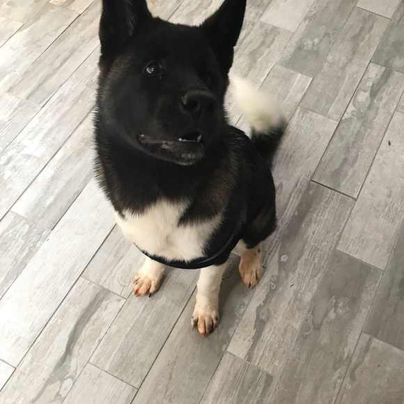 Profile Picture of Guillermo Araujo (@thekid934) on Poshmark