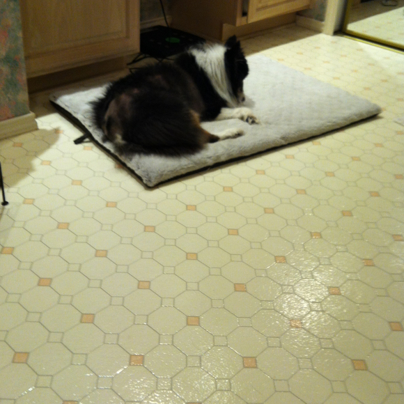 Profile Picture of Cynthia Hildinger (@granitacyn) on Poshmark