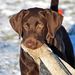 Profile Picture of Scott Rozell (@scott_rozell) on Pinterest