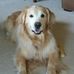 Profile Picture of Janet McMahon (@janet.mcmahon.96155) on Facebook
