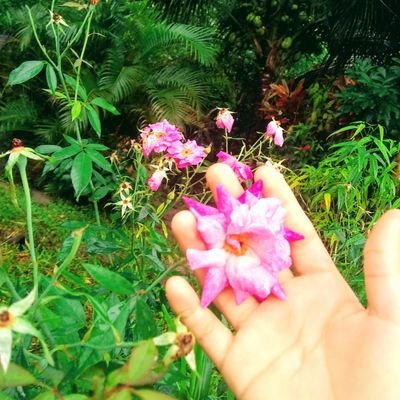 Profile Picture of Paula Oliver Lima (@PaulaoliverLim1) on Twitter