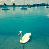 Profile Picture of Sophia Hussain (@sophia-hussain-56) on Quora