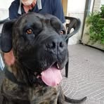 Michele De Virgilio - Facebook Profile Picture of Michele De Virgilio (@Michele-De-Virgilio) on Facebook