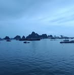 Profile Picture of Đời Đáng Cay (@oiangcay.758504) on Facebook