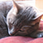 Profile Picture of Aaron Martinez (@scoutmartinez) on Flickr