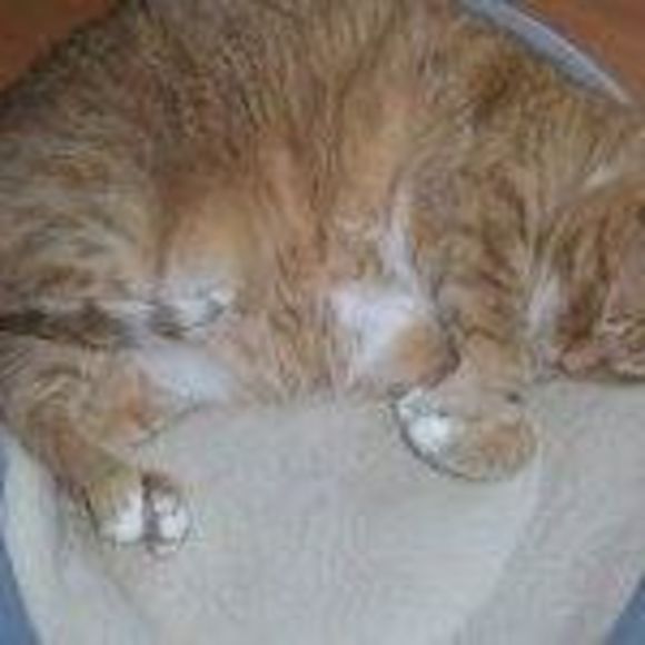 Profile Picture of John Wright (@johnw20657) on Poshmark