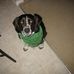 Profile Picture of Benjamin Franklin Whitesel (@benjaminfranklin.whitesel) on Facebook