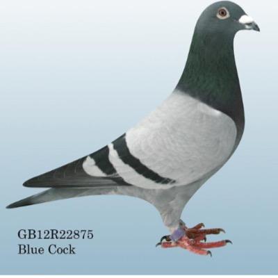 Profile Picture of Douglas Ure Snr (@uredouglas) on Twitter