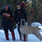 Profile Picture of Nathan Pacheco (@nathan pacheco) on Flickr