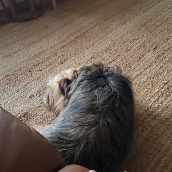 Profile Picture of Steve Hooper (@steverhooper) on Poshmark