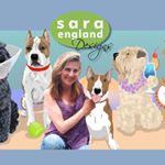 Profile Picture of sara_england_loves_terriers (@sara_england_loves_terriers) on Instagram