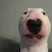 Profile Picture of John Wolfe (@johnthejwolfe) on Youtube