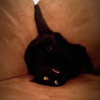 Profile Picture of Jeffrey Sorrell (@jeffrey-sorrell-2) on Quora