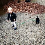 Profile Picture of Andrew Culhane (@andrewculhane84) on Instagram