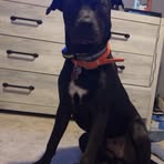 Profile Picture of Cheyenne Moore (@Cheyenne-Moore) on Facebook