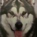 Profile Picture of Keith Kasper (@keith.kasper.338) on Facebook