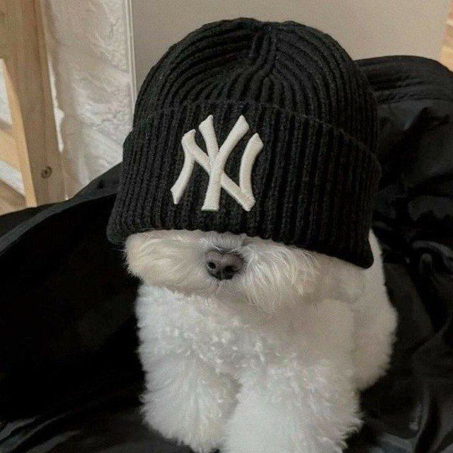 Profile Picture of Mark Zelinskiy🥷 (@mark.zelinskiy) on Tiktok